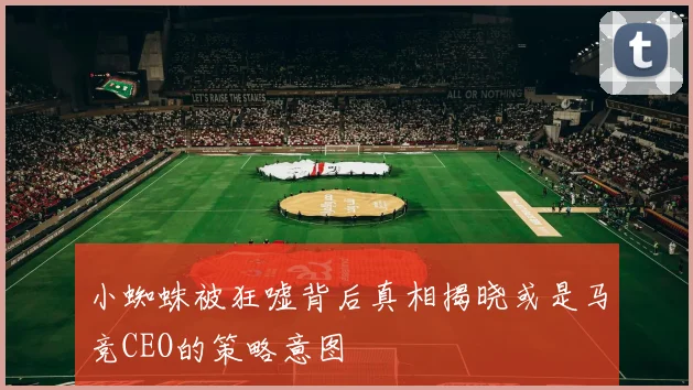 小蜘蛛被狂嘘背后真相揭晓或是马竞CEO的策略意图