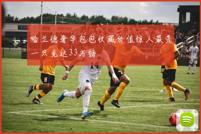 哈兰德奢华包包收藏价值惊人最贵一只竟达33万镑