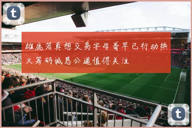 雄鹿若真想交易字母哥早已行动热火筹码诚恳公道值得关注